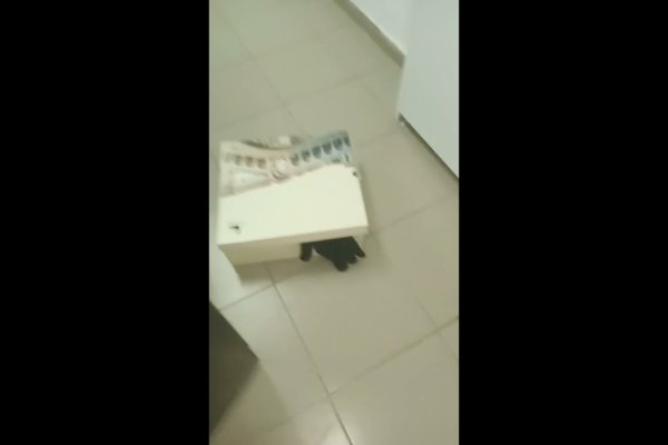 Кракен маркет свежие ссылки