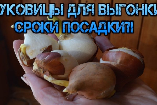 Зайти на кракен тор