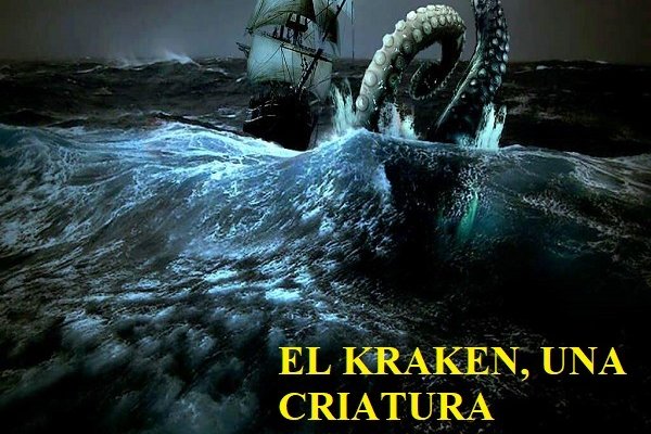Kraken 24 top