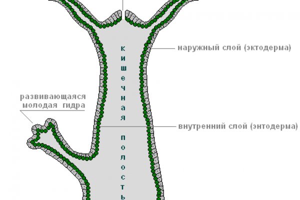 Ссылка на сайт кракен в тор браузере