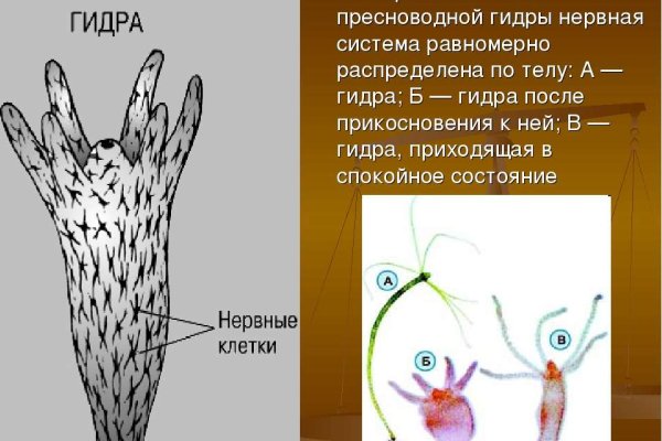 Не заходит на кракен