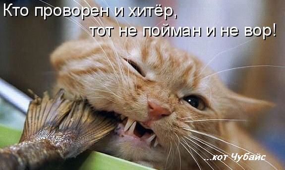 Оригинальный сайт кракен