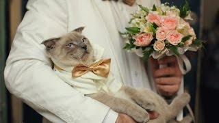Кракен кз