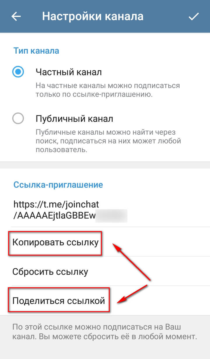 Kraken online